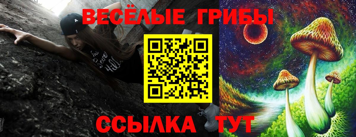 Галлюциногенные грибы Cubensis Отрадный
