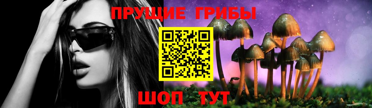 Отрадный  Псилоцибиновые грибы Cubensis  Псилоцибиновые грибы ЛСД  Вход с VPN 